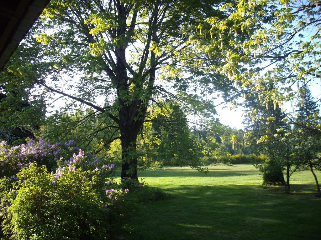 Lake Trail Guesthouse Cumberland Екстериор снимка