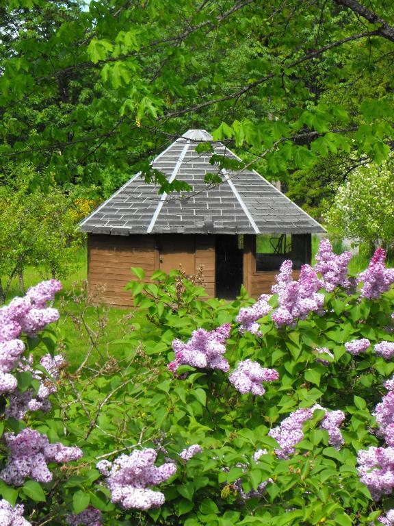 Lake Trail Guesthouse Cumberland Екстериор снимка