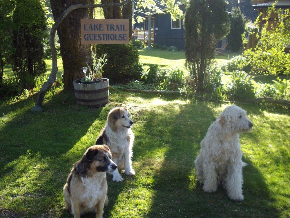 Lake Trail Guesthouse Cumberland Екстериор снимка